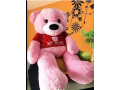 imported-teddys-for-sale-china-import-all-sizes-all-colours-small-0