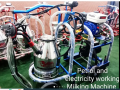 milking-machine-for-cows-and-buffalos-dairy-farm-machines-small-0